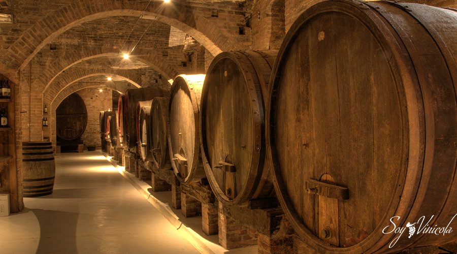 Ingredientes en el proceso de elaboración del vino Soy Vinicola