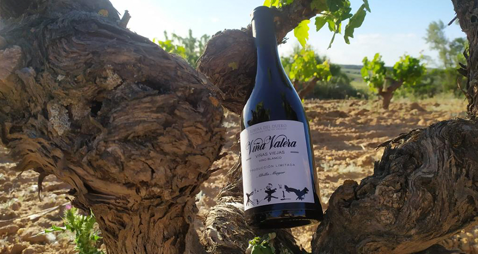 Vino Albillo Viña Valera Viñedo