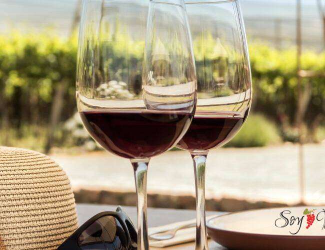 10 Datos que no sabias sobre el Vino Mexicano