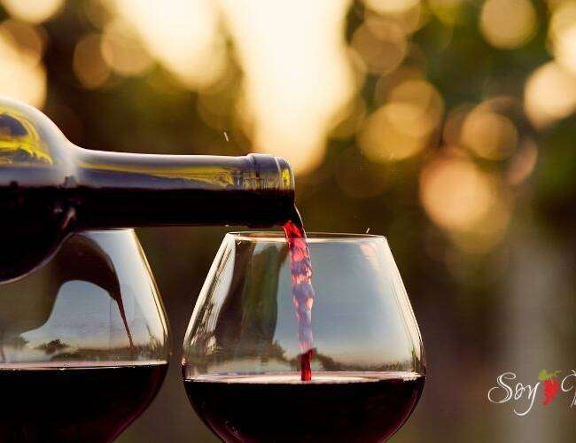 Documentales sobre vino