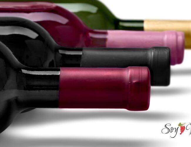 Los 6 mejores vinos por menos de 500 pesos