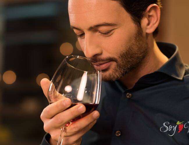 Los aromas del vino