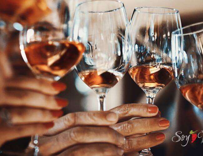 No te pierdas! Aquí una guía para principiantes en vino