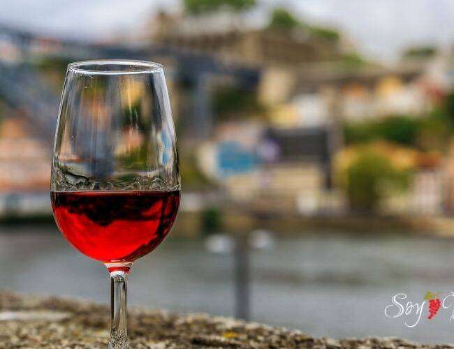 Regiones vinícolas por descubrir que tendrán éxito muy pronto