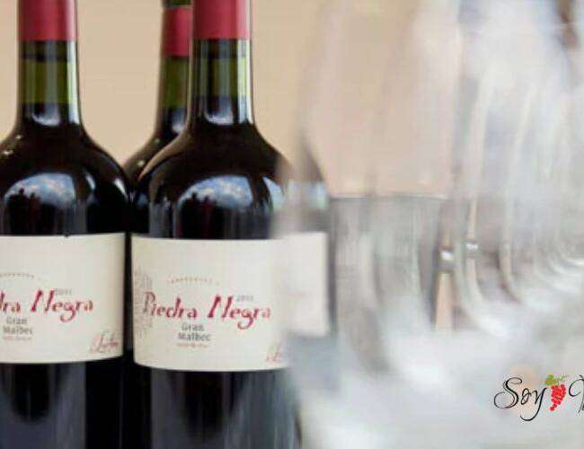 Vino del mes_ Piedra negra