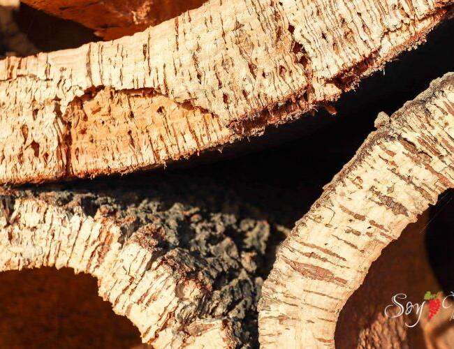 ¿Qué roble para barricas es el favorito en el mundo del vino