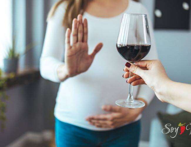 ¿Y si bebemos vino durante el embarazo