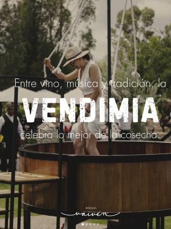 Celebración de la Vendimia 2026 de Bodegas Vaivén en Viñedos Silvestre, evento exclusivo para 150 invitados en Querétaro