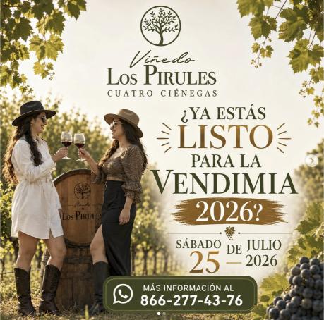 Vendimia 2026 de Viñedos Los Pirules en Cuatro Ciénegas, Coahuila