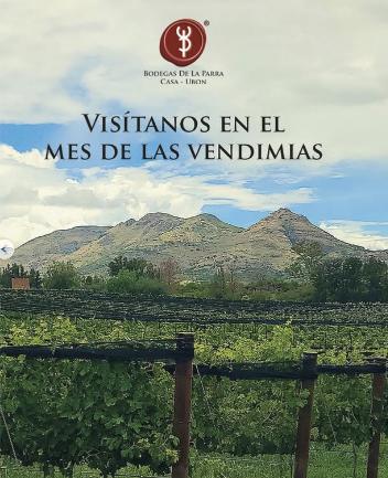 Vendimia en Bodegas de la Parra en Aguascalientes con viñedo lleno y en plena cosecha durante agosto