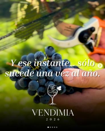 Vendimia 2026 en Viñedos La Revuelta, celebración íntima La Vid & La Vida en Querétaro