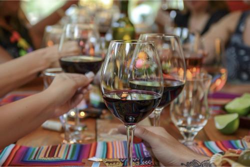 Personas levantan copas de vino tinto mexicano durante una experiencia gastronómica