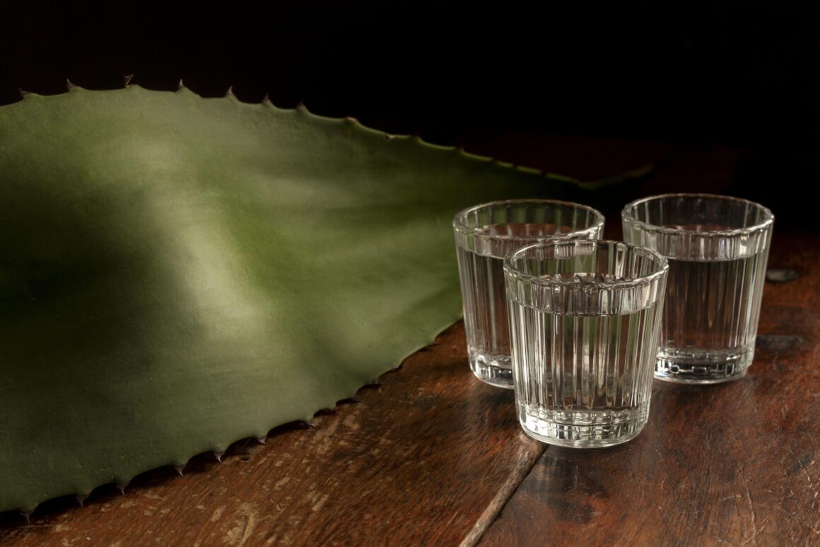 Tres vasos pequeños con una bebida transparente sobre una mesa, junto a una hoja de agave.