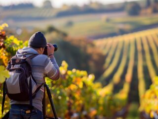 Fotógrafo contempla un viñedo durante una experiencia de enoturismo